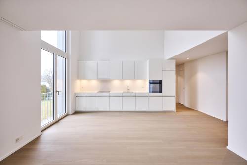 offener Wohnbereich mit Küchenzeile einer Mietwohnung in Zürich Seebach